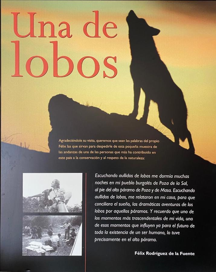 Casa Salionca Villa Poza de la Sal ภายนอก รูปภาพ